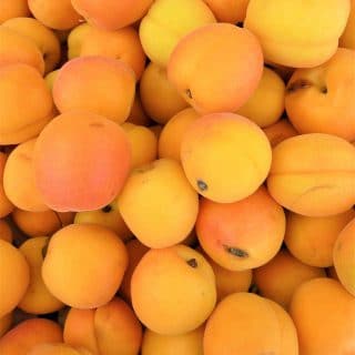 Pile of whole fresh apricots