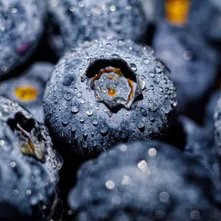 Fresh blueberries with water droplets on them