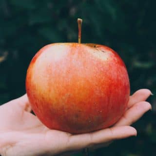 Whole red apple held in the palm of a hand