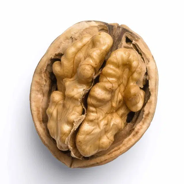 One roasted walnut in it's shell