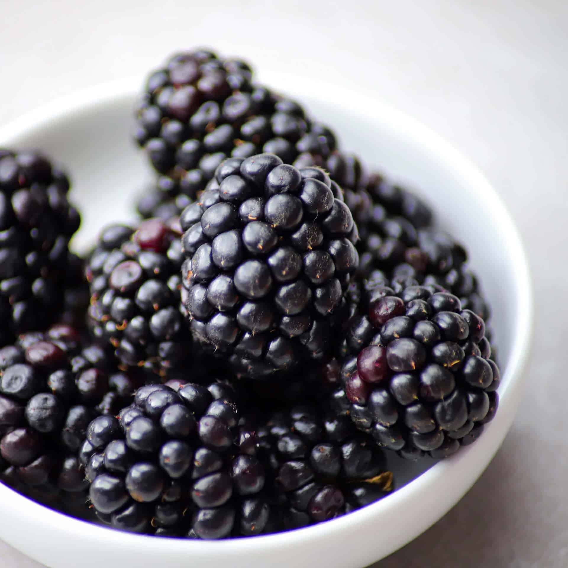 Blackberry Balsamic Vinegar Glaze The Olive Branch