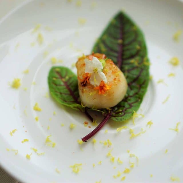 A scallop prepared on greens using spicy zest extra virgin olive oil